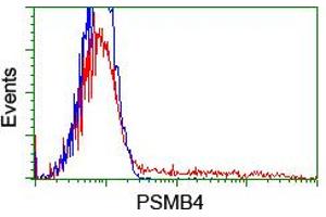 Flow Cytometry (FACS) image for anti-Proteasome (Prosome, Macropain) Subunit, beta Type, 4 (PSMB4) antibody (ABIN1500473) (PSMB4 抗体)