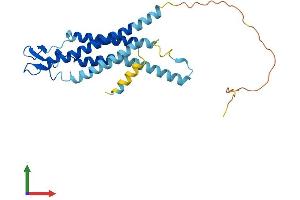 Protein Structure (PS) image for Gap Junction Protein, beta 4, 30.3kDa (GJB4) (AA 1-266) protein (His tag) (ABIN7546824)