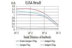 Black line: Control Antigen (100 ng),Purple line: Antigen (10 ng), Blue line: Antigen (50 ng), Red line:Antigen (100 ng) (CD16 抗体  (AA 17-208))