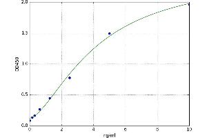 Claudin 1 (CLDN1) ELISA Kit