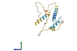 Protein Structure (PS) image for Inhibitor of DNA Binding 1, Dominant Negative Helix-Loop-Helix Protein (ID1) (AA 1-168) protein (His tag) (ABIN7562945)