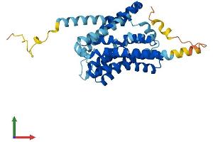 Protein Structure (PS) image for Solute Carrier Family 10 (Sodium/bile Acid Cotransporter Family), Member 2 (SLC10A2) (AA 1-348) protein (His tag) (ABIN7556665)