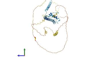 Protein Structure (PS) image for NFKB Activating Protein (NKAP) (AA 1-415) protein (His tag) (ABIN7560832)
