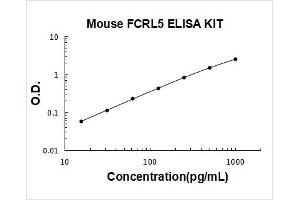 Typical Standard Curve