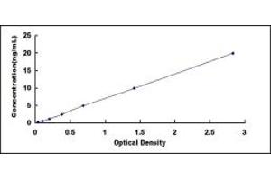 Typical standard curve (PLA2G6 ELISA 试剂盒)