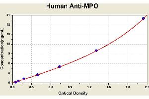 Diagramm of the ELISA kit to detect Human Ant1 -MPOwith the optical density on the x-axis and the concentration on the y-axis. (Anti-Myeloperoxidase Antibody ELISA 试剂盒)