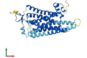 Protein Structure (PS) image for Trace Amine Associated Receptor 9 (TAAR9) (AA 1-348) protein (His tag) (ABIN7557492)