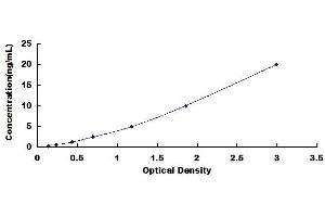 Typical standard curve (DUSP6 ELISA 试剂盒)