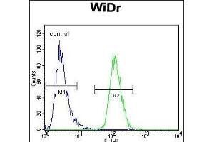 PIK3R5 Antibody (C-term) (ABIN655491 and ABIN2845011) flow cytometric analysis of WiDr cells (right histogram) compared to a negative control cell (left histogram). (PIK3R5 抗体  (C-Term))