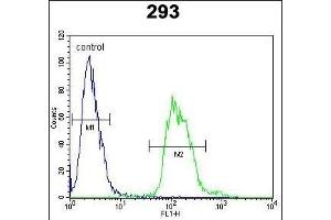 TAC1 Antibody (C-term) (ABIN652053 and ABIN2840522) flow cytometric analysis of 293 cells (right histogram) compared to a negative control cell (left histogram). (TAC1 抗体  (C-Term))