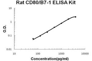 Rat CD80/B7-1 Accusignal ELISA Kit Rat CD80/B7-1 AccuSignal ELISA Kit standard curve. (CD80 ELISA 试剂盒)