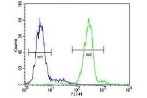 Flow Cytometry (FACS) image for anti-Voltage-Dependent Anion Channel 1 (VDAC1) (AA 1-30) antibody (ABIN3029777)
