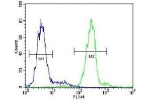 VDAC antibody flow cytometric analysis of HepG2 cells (green) compared to a negative control (blue). (VDAC1 抗体  (AA 1-30))
