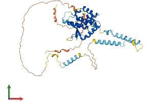 Protein Structure (PS) image for Small Nuclear RNA Activating Complex, Polypeptide 1, 43kDa (SNAPC1) (AA 1-389) protein (His tag) (ABIN7559442)