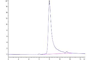 Size-exclusion chromatography-High Pressure Liquid Chromatography (SEC-HPLC) image for Interleukin-17 A/F Heterodimer (IL-17A/F) (AA 24-155) protein (His tag) (ABIN7275001)