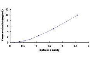 Transcobalamin II (TCN2) ELISA Kit