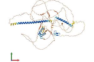 AlphaFold protein structure predicition of Human Recombinant TAB2 Protein, UniprotID Q9NYJ8