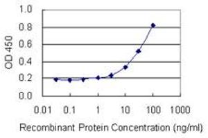 Detection limit for recombinant GST tagged RPLP1 is 1 ng/ml as a capture antibody. (RPLP1 抗体  (AA 1-114))