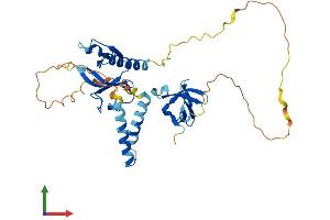 AlphaFold protein structure predicition of Human Recombinant SKAP2 Protein, UniprotID O75563
