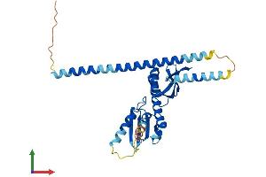 Protein Structure (PS) image for Centromere Protein O (CENPO) (AA 1-300) protein (His tag) (ABIN7553234)