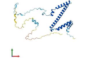 AlphaFold protein structure predicition of Mouse Recombinant Rrp36 Protein, UniprotID Q3UFY0