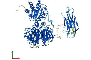AlphaFold protein structure predicition of Human Recombinant NHLRC2 Protein, UniprotID Q8NBF2