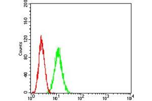 Flow cytometric analysis of HeLa cells using ADAR mouse mAb (green) and negative control (red). (ADAR 抗体  (AA 1085-1223))