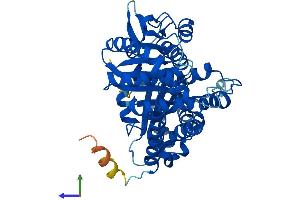 Protein Structure (PS) image for Tubulin, beta 2B (TUBB2B) (AA 1-445) protein (His tag) (ABIN7544166)