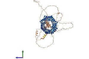 Protein Structure (PS) image for G-Protein Signaling Modulator 2 (GPSM2) (AA 1-684) protein (His tag) (ABIN7554030)