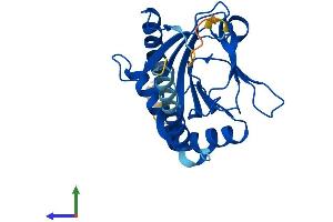 Protein Structure (PS) image for Egl-9 Family Hypoxia Inducible Factor 3 (EGLN3) (AA 1-239) protein (His tag) (ABIN7564777)