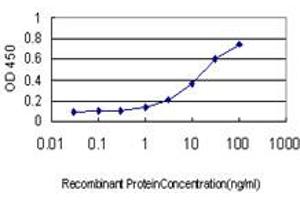 Detection limit for recombinant GST tagged INSRR is approximately 0. (INSRR 抗体  (AA 651-760))