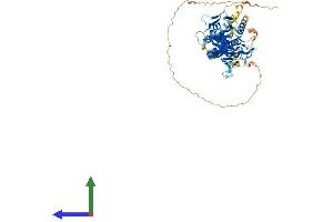 Protein Structure (PS) image for Kinesin Family Member C1 (KIFC1) (AA 1-674) protein (His tag) (ABIN7561735)