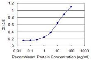 Detection limit for recombinant GST tagged NAE1 is 0. (NAE1 抗体  (AA 1-534))
