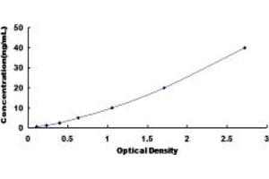 Typical standard curve (GADD45G ELISA 试剂盒)