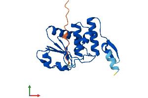 Protein Structure (PS) image for Dual Specificity Phosphatase 21 (DUSP21) (AA 1-189) protein (His tag) (ABIN7561165)