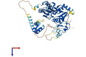 AlphaFold protein structure predicition of Mouse Recombinant Tstd2 Protein, UniprotID Q3U269
