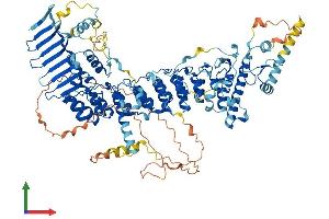 Protein Structure (PS) image for Ankyrin Repeat and MYND Domain Containing 1 (ANKMY1) (AA 1-941) protein (His tag) (ABIN7552154)