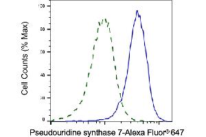 Validation of Pseudouridine synthase 7 knockdown using flow cytometry. (PUS7 抗体)