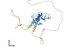 Protein Structure (PS) image for Muscleblind-Like 2 (MBNL2) (AA 1-373) protein (His tag) (ABIN7554480)