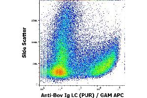 Flow cytometry surface staining pattern of bovine peripheral whole blood stained using anti-bovine Ig Light Chains (IVA285-1) purified antibody (concentration in sample 3 μg/mL, GAM APC). (小鼠 anti-Cow Ig Light Chains Antibody)