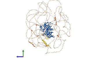 Protein Structure (PS) image for tau Tubulin Kinase 2 (TTBK2) (AA 1-1243) protein (His tag) (ABIN7563758)
