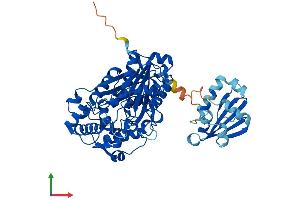 Protein Structure (PS) image for Sterol Carrier Protein 2 (SCP2) (AA 1-547) protein (His tag) (ABIN7563124)