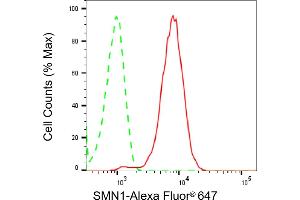 Flow cytometric analysis of SMN1 expression in HepG2 cells using SMN1 antibody (ABIN7800470), 1:2,000).