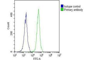 Overlay histogram showing Jurkat cells stained with (ABIN657245 and ABIN2846343) (green line). (NETO2 抗体  (N-Term))