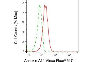 Flow cytometric analysis of Annexin A11 expression in HepG2 cells using Annexin A11 antibody (ABIN7797616), 1:2,000). (Annexin A11 抗体)
