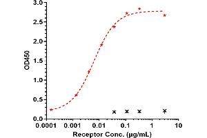 Immobilized Ma TREM2 His at 2 μg/mL can bind Anti-TREM2 Reference Antibody (Py314), EC50=0. (Recombinant TREM2 抗体)