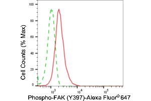 Flow cytometric analysis of phospho-FAK (Y397) expression in HepG2 cells using phospho-FAK (Y397) antibody (ABIN7800061), 1:2,000). (Recombinant FAK 抗体  (pTyr397))