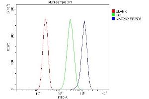 Flow Cytometry analysis of PC-3 cells using anti-MEK2/MAP2K2 antibody (ABIN7599357). (MEK2 抗体  (AA 1-400))