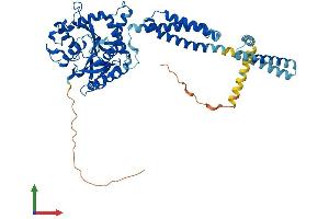 AlphaFold protein structure predicition of Mouse Recombinant Atl1 Protein, UniprotID Q8BH66