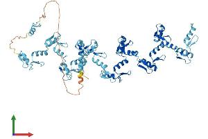 Protein Structure (PS) image for Zinc Finger Protein 709 (ZNF709) (AA 1-641) protein (His tag) (ABIN7545687)